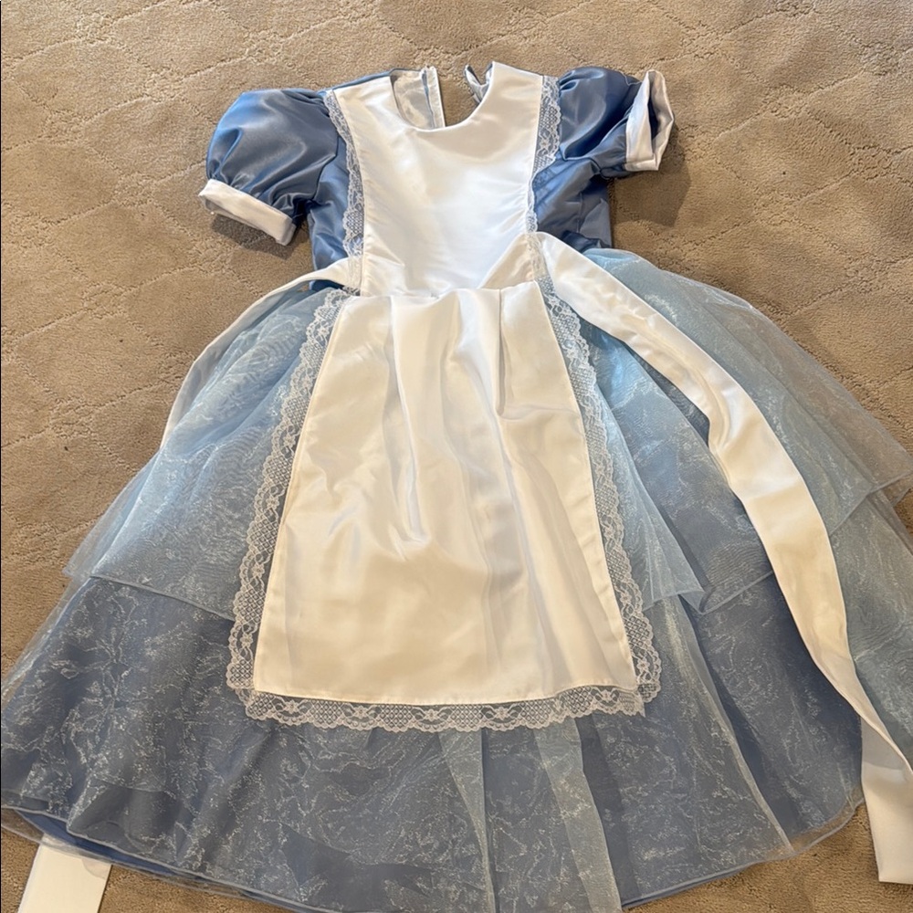 Alice in Wonderland dress size 8-10